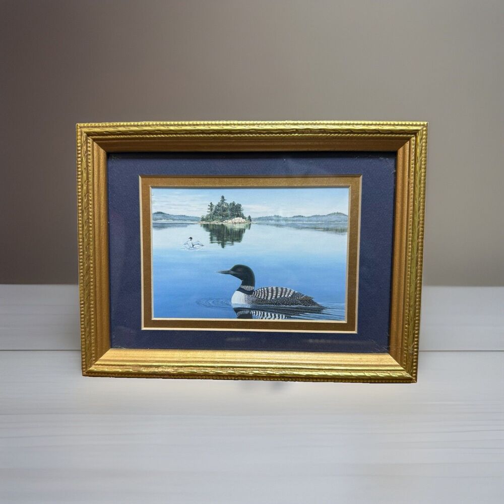 Vintage Gold Framed Mated Loon Duck Pic 8x6 Cabin Cottage Hunting Rustic